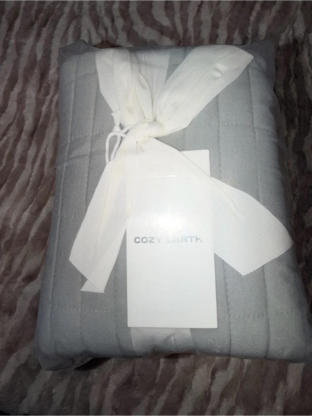 Cozy Earth Quilted Pillow Shama set of 2- Soft Light Gray Home Bedding